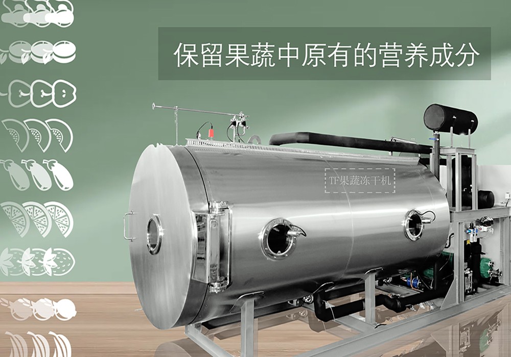 冷冻干燥机|冻干机|真空冷冻干燥机|大型冷冻干燥机|食品冻干机|制药真空冷冻干燥机|食品冻干设备|制药冷冻干燥机