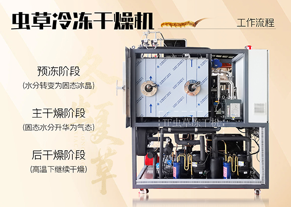 冷冻干燥机|冻干机|真空冷冻干燥机|大型冷冻干燥机|食品冻干机|制药真空冷冻干燥机|食品冻干设备|制药冷冻干燥机