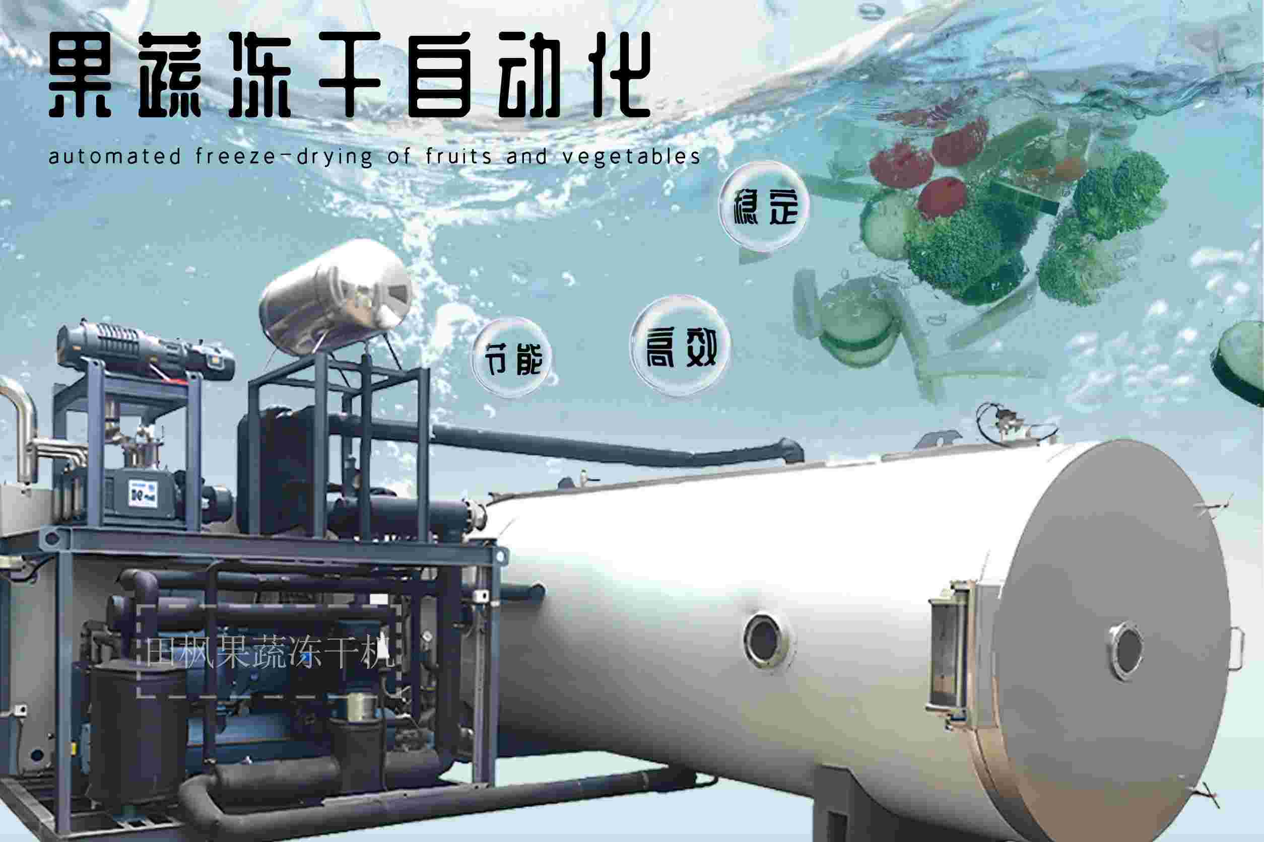 什么是果蔬冻干机？如何工作的？
