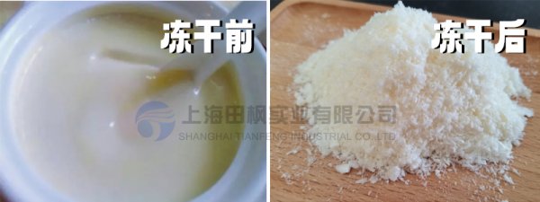 冻干牛初乳营养成分不流失