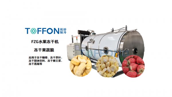 果蔬冷冻干燥机：一体化原位冻干设计