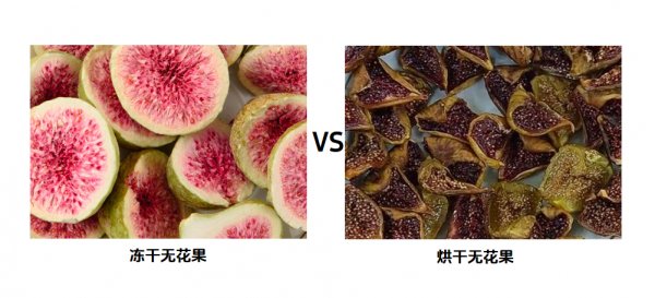 FZG冷冻干燥机制作无花果冻干优势
