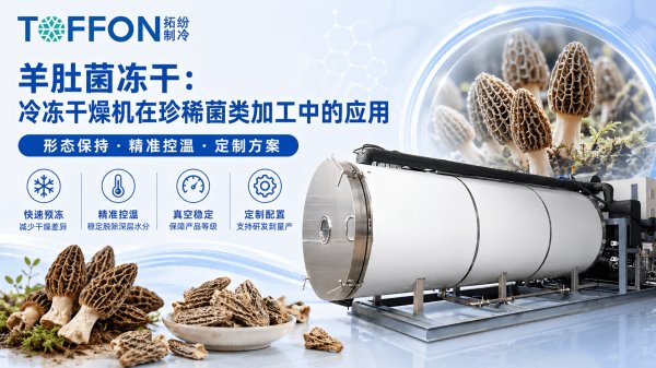 17790685372593.png 图片 1.png