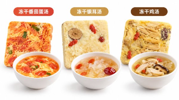一碗热汤如何变成冻干汤块？冷冻干燥机在方便食品加工中的应用